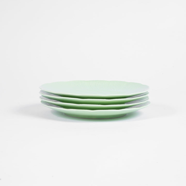Product Image-3