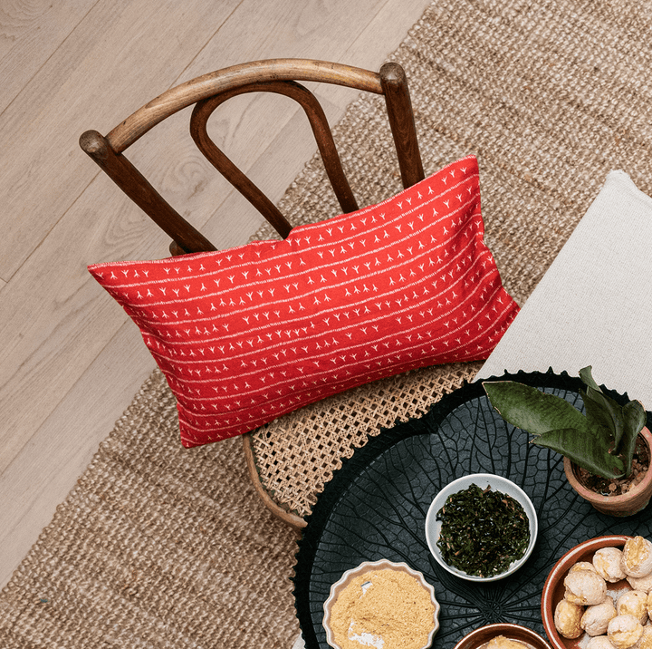 Linen cushion cover 30x50 - ARRASTA PÉ pattern in red TERRA