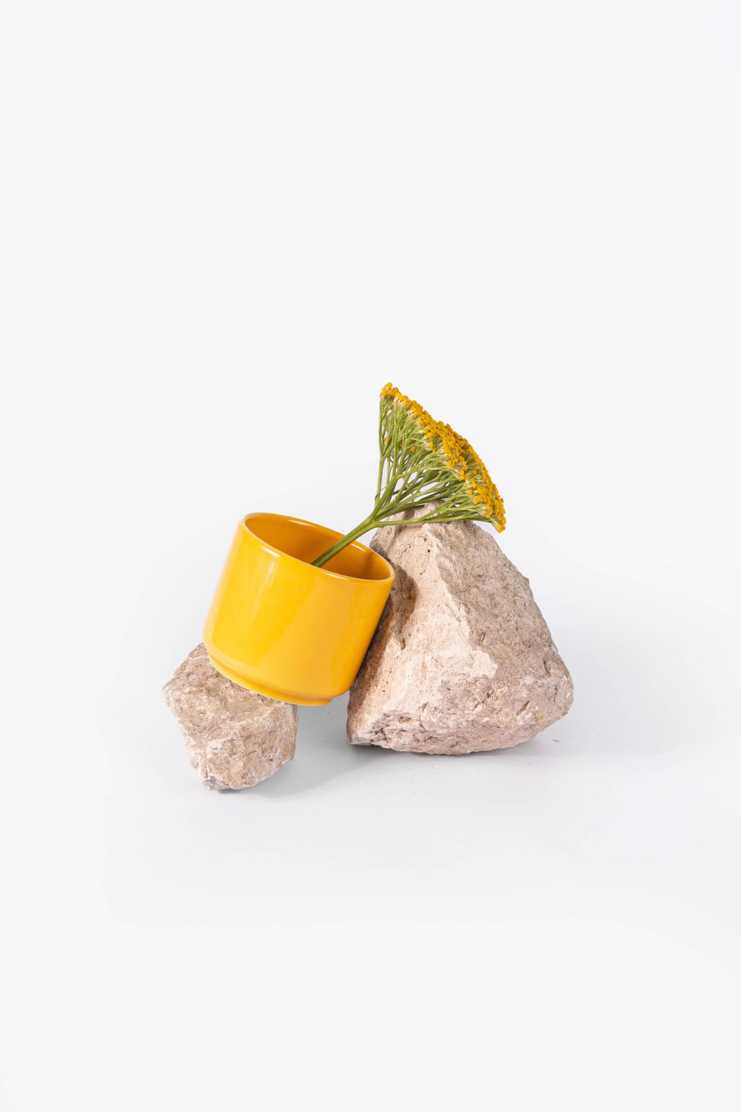Tasse à café en porcelaine - Jaune moutarde Tasses Ogre la Fabrique